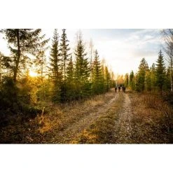 FJÄLLRÄVEN Safety Cap -Seatosummit shop FW20 Hunting Anette Andersson 221019 3108